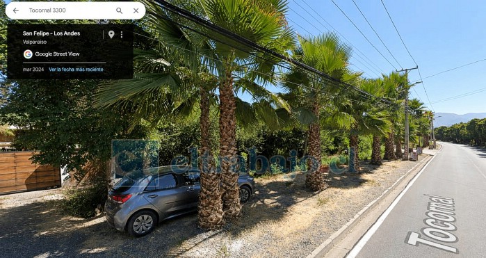 Así se encontraban las palmeras durante el año 2024, de acuerdo con registros de Google Maps.
