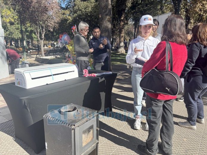 En Los Andes impulsan recambio de estufas a leña.