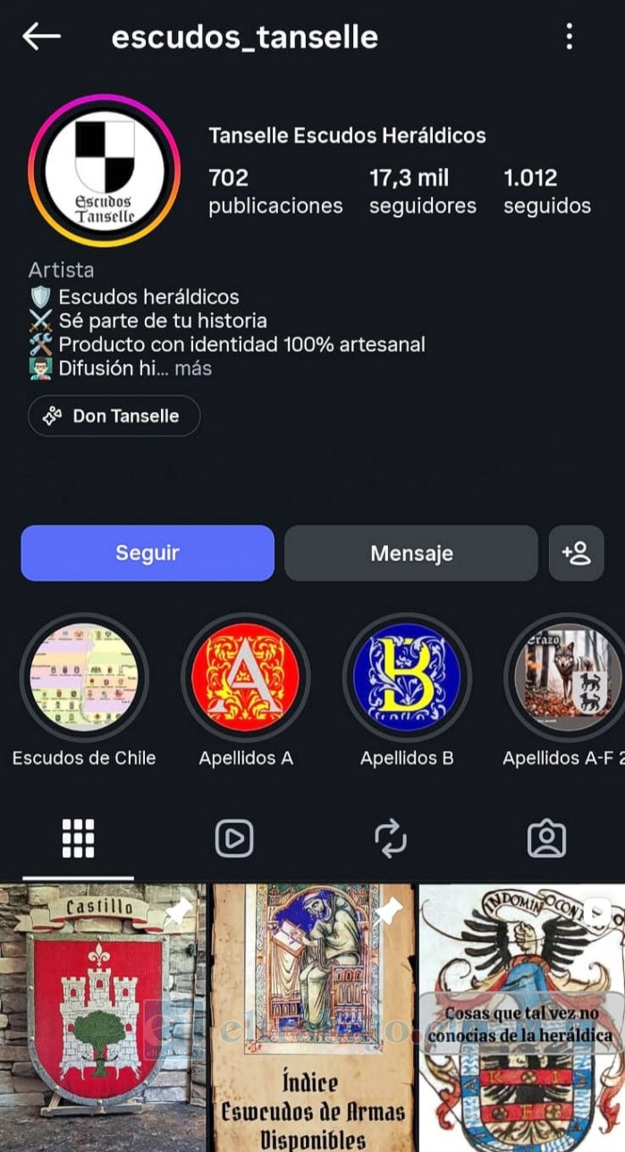 Leonardo Echeverría, creador de la cuenta de Instagram Escudos Tanselle, impulsa la difusión de la heráldica chilena mediante análisis técnicos y competencias entre escudos comunales de todo el país.