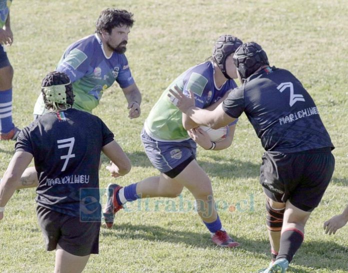Los Halcones está obligado a ganar sus duelos como anfitrión.