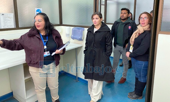 La iniciativa busca fortalecer la atención de salud mental para niños, niñas, adolescentes y jóvenes del Valle de Aconcagua mediante un dispositivo especializado de atención diurna.