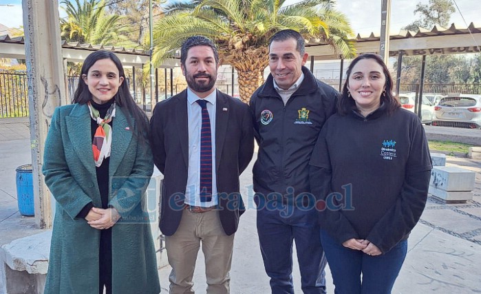 Lanzan encuesta para el catastro de calefacción a leña en las comunas de Catemu, Panquehue y Llay Llay.