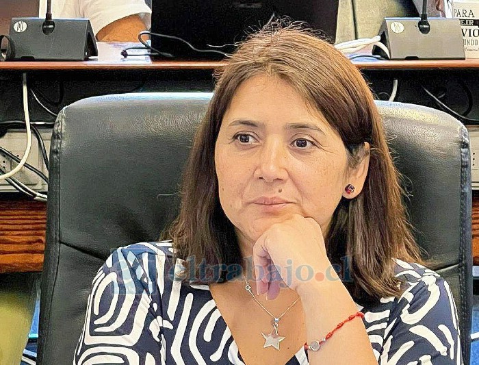 La consejera regional Maricel Martínez destacó los avances del proceso de licitación de la nueva concesión de la Ruta 57 y valoró especialmente la futura construcción del segundo Túnel Chacabuco.