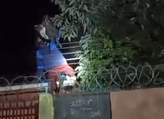 Este es el delincuente detenido.