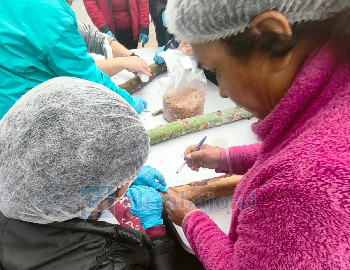 Jornada de capacitación en Parque Lo Hermita.