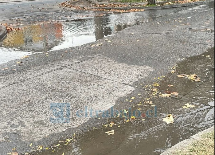 Las aguas rebalsan desde una cámara de registro debido a la obstrucción del canal subterráneo, situación que vecinos de Villa Sol del Inca denuncian desde hace cerca de dos años.
