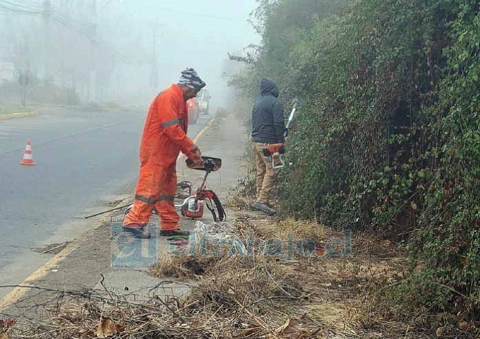 Trabajos preventivos de cara a las lluvias que se esperan durante este invierno.