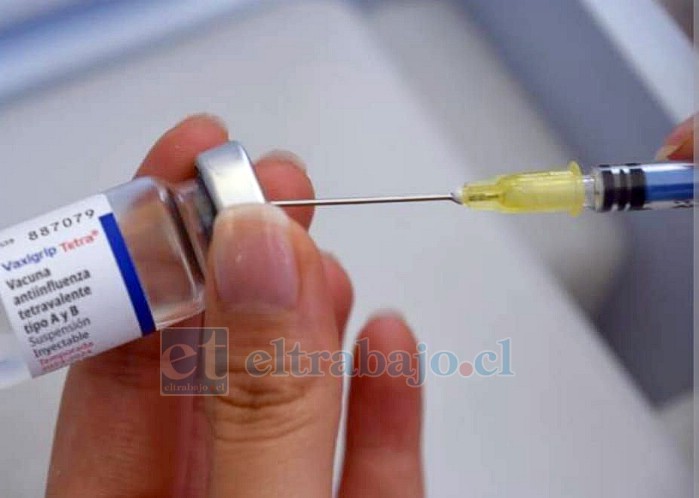 Panquehue lidera el ranking de inoculación en el 2026 (Imagen de archivo). 