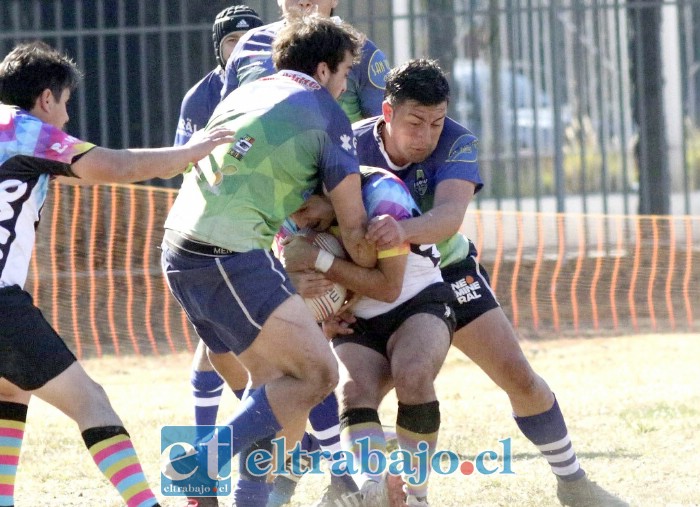 Halcones no pudo contra el poderío e historia de Los Troncos