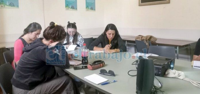 Desde abril a junio se realizó esta iniciativa en San Felipe.