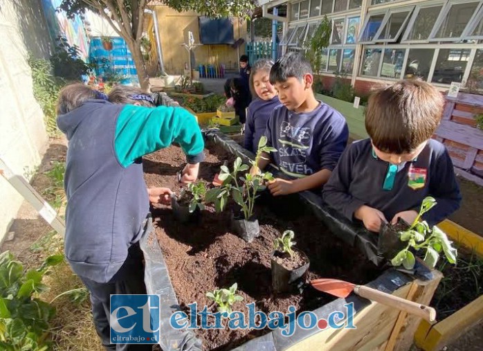 Participando en la huerta escolar.