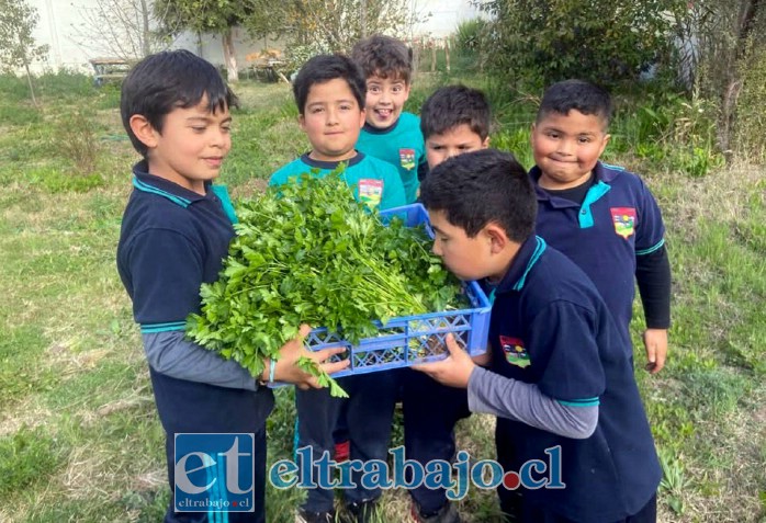 Escuela Mateo Cokljat fortalece educación ambiental.