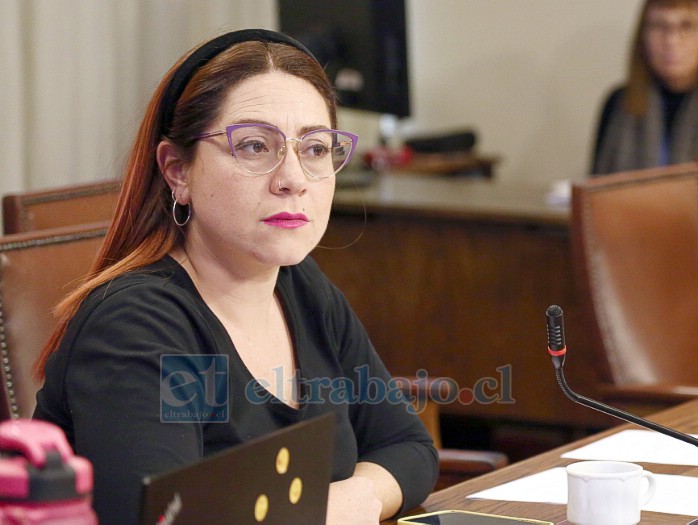 Diputada Francisca Bello.
