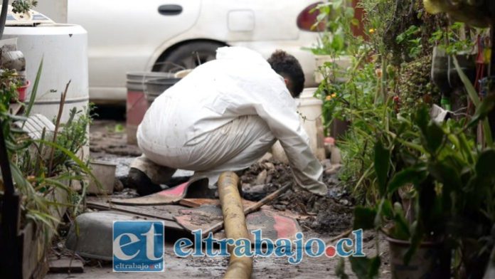 Con camiones limpiafosas se ha realizado la limpieza de las cámaras.