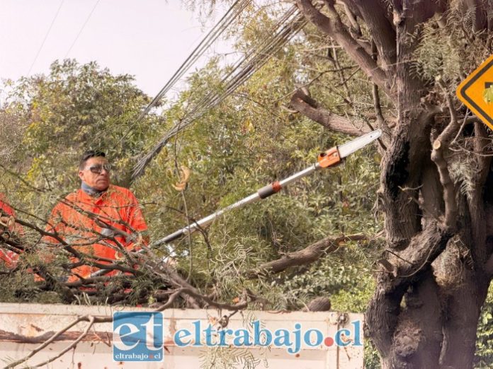 Municipio ejecuta labores preventivas por el arribo del primer gran sistema frontal de la temporada.