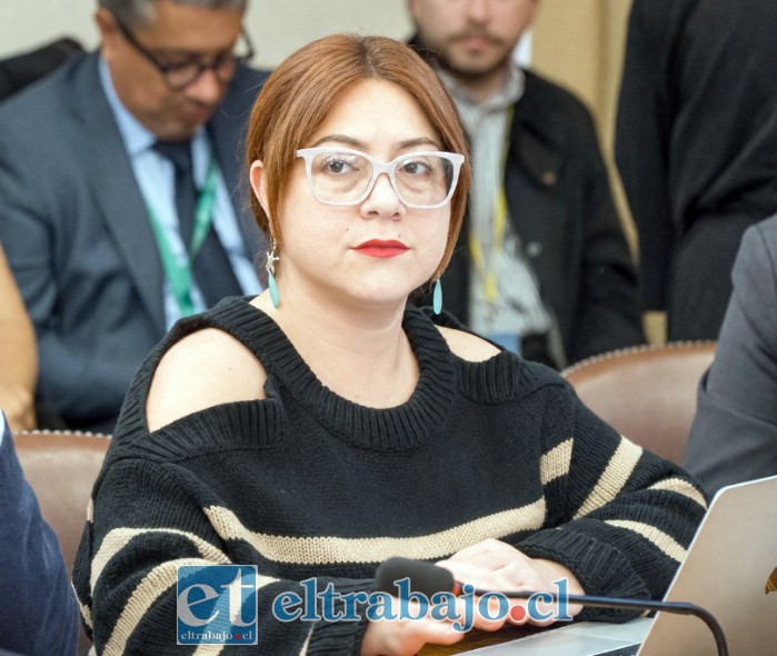 Diputada Francisca Bello.