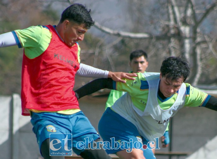 Contra un equipo de la zona sur Trasandino jugará la definición por el último cupo a la Liguilla de Ascenso.