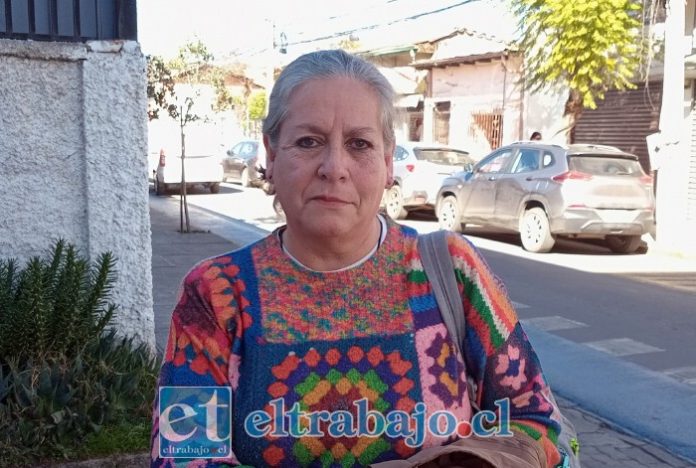 Alma Araya, presidenta del Colegio de Profesores de San Felipe, se refirió a la nueva Ley Escuelas Protegidas.