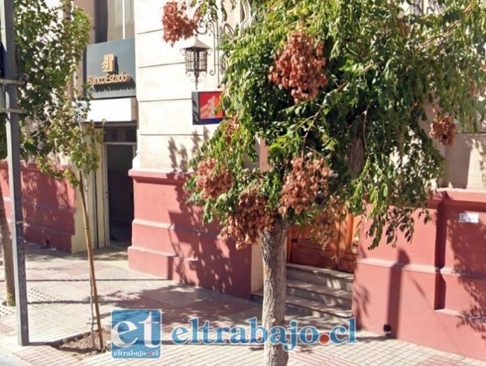 Detienen a sujeto que consumió drogas y amenazó a personal municipal.