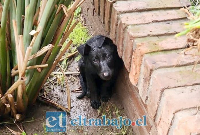 Otro ejemplo de abandono durante la lluvia.