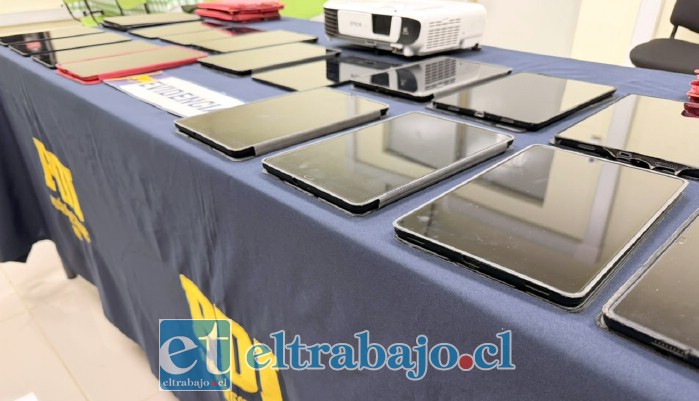 Estas son las especies recuperadas por la PDI.
