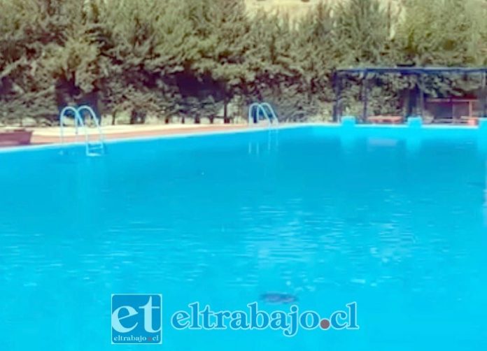 El Club de Natación Aquajet, plantea la necesidad de recuperar y poner en funcionamiento la piscina del Estadio Fiscal como una alternativa pública para la práctica de la natación y actividades de rehabilitación en San Felipe.