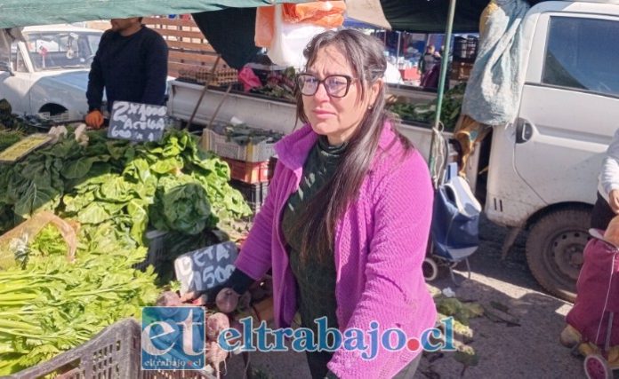 Janet Carrasco, presidenta del Sindicato de Chacareros de la Feria de Diego de Almagro de San Felipe.