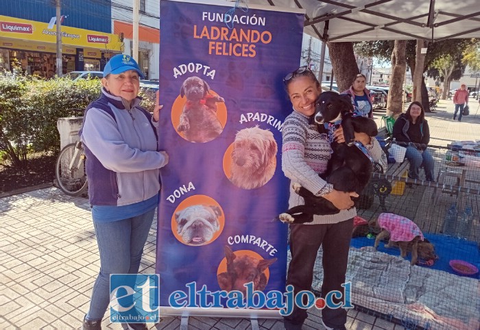 Las voluntarias de Fundación Ladrando Felices junto a ‘Princesa’, perrita en adopción.