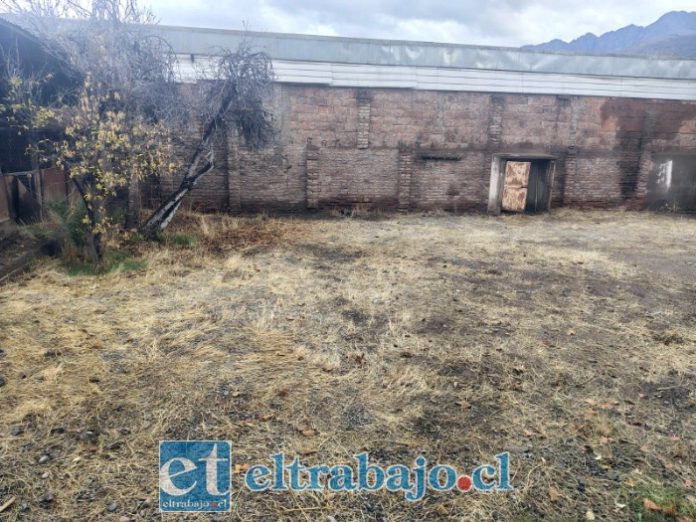 El espacio será intervenido este sábado con labores de limpieza, recuperación, reforestación y plantación, con miras a transformarlo en un área verde abierta a la comunidad.