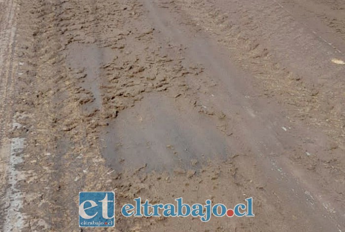 Excremento de las vacas esparcido en el camino.