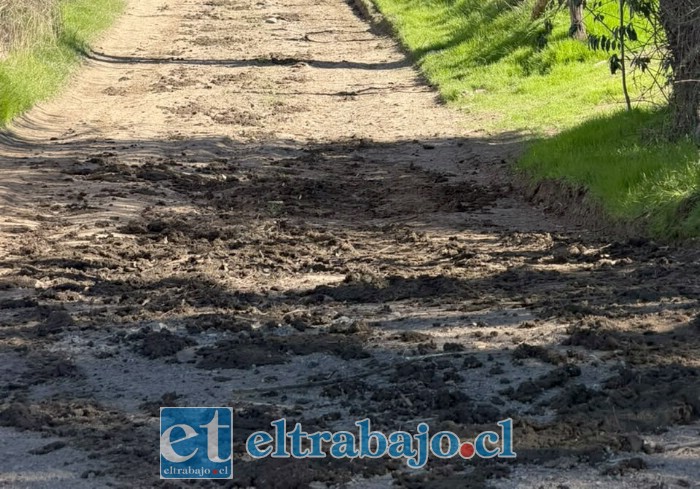 Situación similar en otro de los caminos.