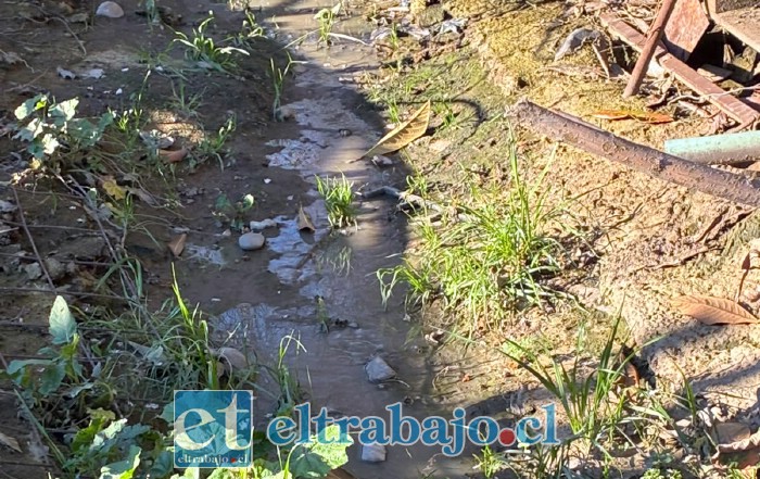 Agua de una canal con contaminación.