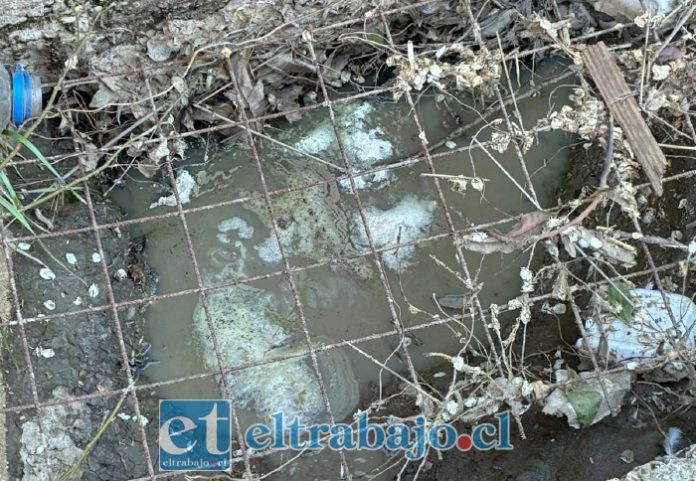 Así se ve una acequia del sector de la Comunidad Calle Herrera.