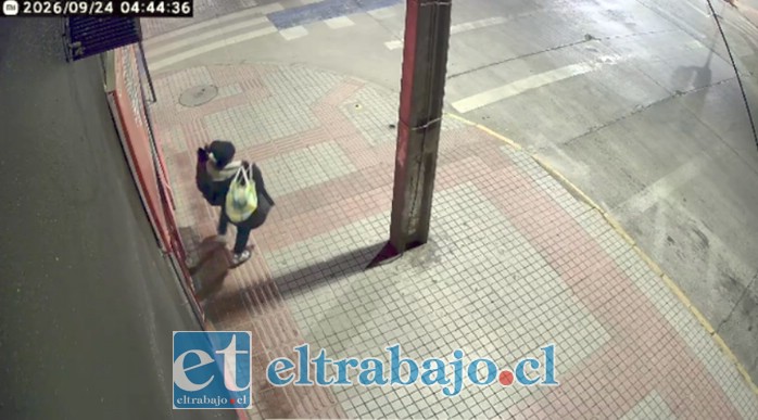 El local de comida rápida Al Tocke fue afectado por un robo durante la madrugada de este jueves, con importantes pérdidas para sus propietarios.