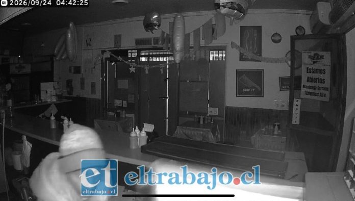 El delincuente habría ingresado cerca de las 04:30 horas tras romper el candado de la puerta y fue captado mientras sustraía diversas especies y mercadería.