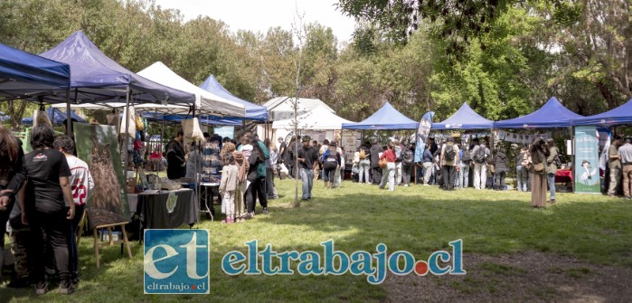 El Aconcagua Fest realizará su tercera edición este sábado 17 de octubre, con actividades dedicadas a la conservación de la biodiversidad y el cuidado de la naturaleza.