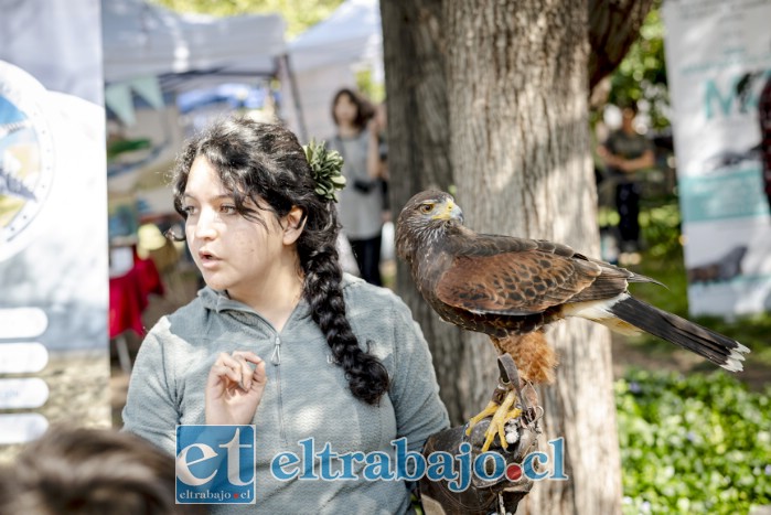 El festival reunió a organizaciones ambientales, científicas y comunitarias, que compartieron con los asistentes su trabajo en la protección de la fauna y la naturaleza (Fotografía: Jethro Mather Joo).