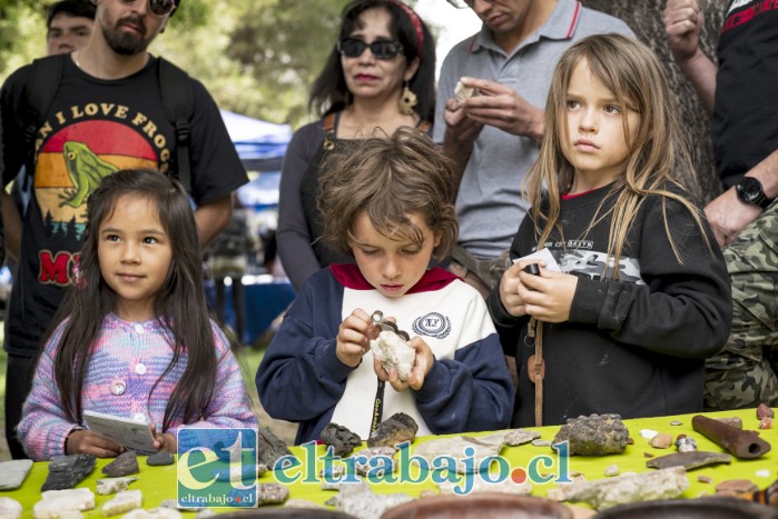 La jornada también contará con música en vivo, emprendimientos sustentables y actividades familiares, invitando a la comunidad a disfrutar y aprender sobre el patrimonio natural.