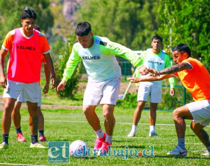 Puntos de oro será los que Trasandino intentará traer desde San Fernando.