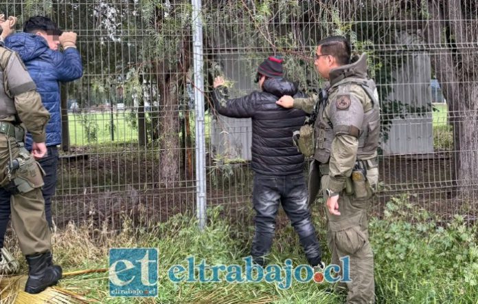 Dos jóvenes fueron detenidos por personal de la Sección Centauro Aconcagua durante el operativo desarrollado en el sector.